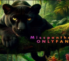 MissPanthera